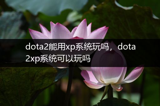 dota2能用xp系统玩吗，dota2xp系统可以玩吗