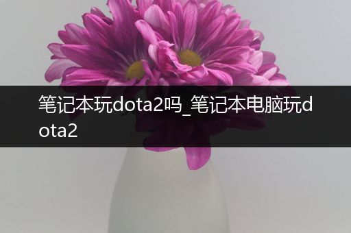 笔记本玩dota2吗_笔记本电脑玩dota2