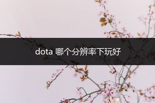 dota 哪个分辨率下玩好