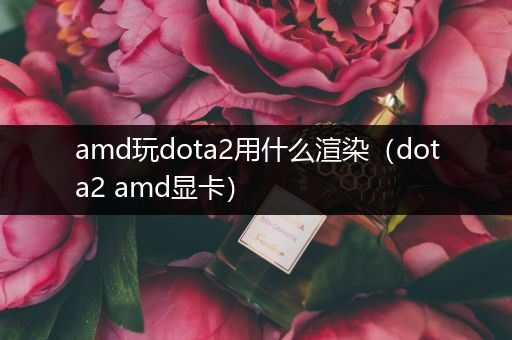 amd玩dota2用什么渲染（dota2 amd显卡）