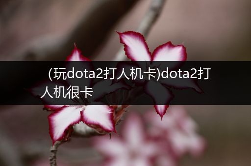 （玩dota2打人机卡)dota2打人机很卡