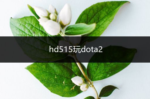 hd515玩dota2