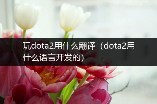 玩dota2用什么翻译（dota2用什么语言开发的）