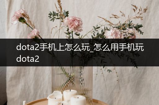 dota2手机上怎么玩_怎么用手机玩dota2
