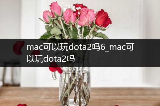 mac可以玩dota2吗6_mac可以玩dota2吗