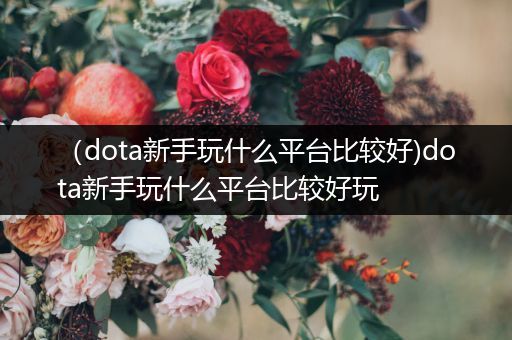 （dota新手玩什么平台比较好)dota新手玩什么平台比较好玩