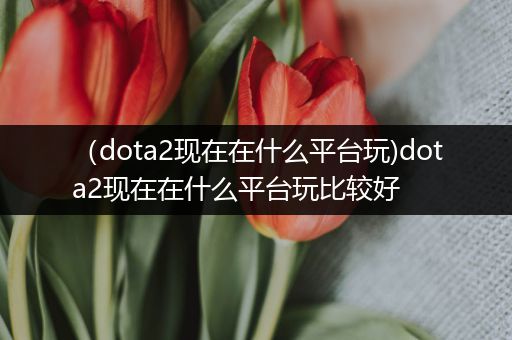 （dota2现在在什么平台玩)dota2现在在什么平台玩比较好