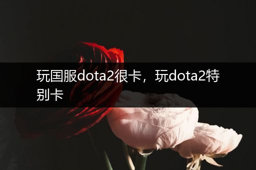 玩国服dota2很卡，玩dota2特别卡