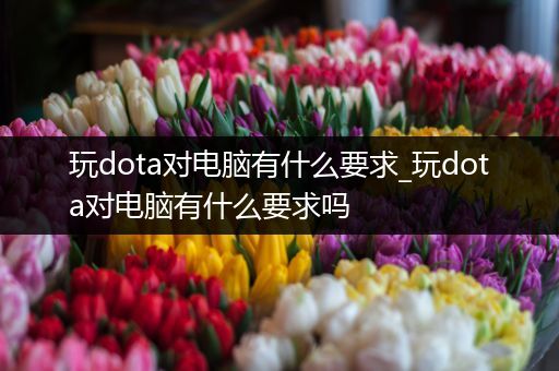 玩dota对电脑有什么要求_玩dota对电脑有什么要求吗