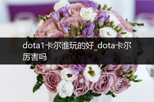 dota1卡尔谁玩的好_dota卡尔厉害吗