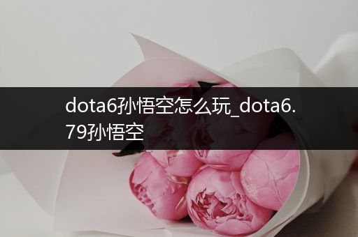 dota6孙悟空怎么玩_dota6.79孙悟空