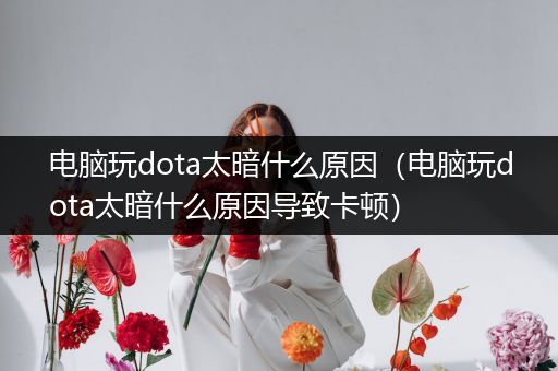 电脑玩dota太暗什么原因（电脑玩dota太暗什么原因导致卡顿）