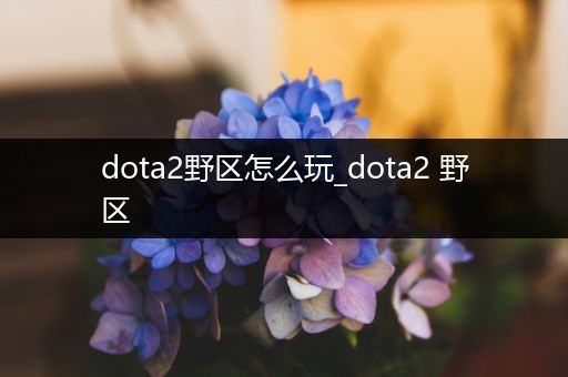 dota2野区怎么玩_dota2 野区