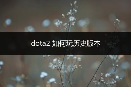 dota2 如何玩历史版本
