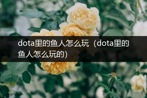 dota里的鱼人怎么玩（dota里的鱼人怎么玩的）