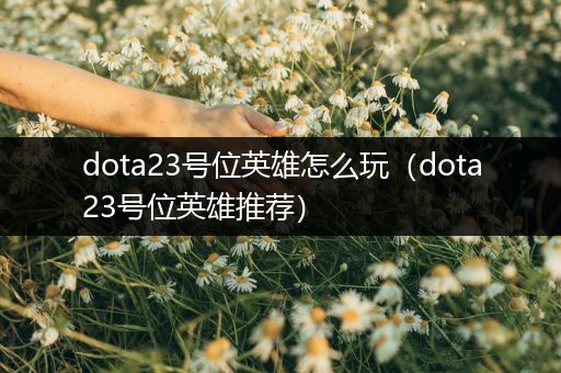 dota23号位英雄怎么玩（dota23号位英雄推荐）