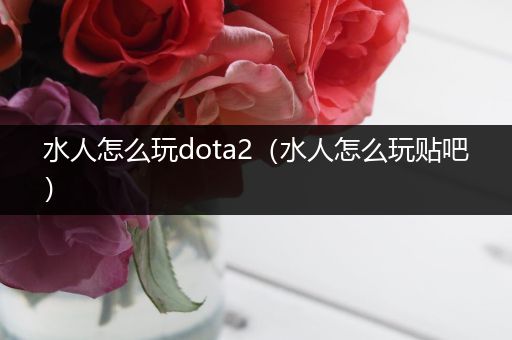 水人怎么玩dota2（水人怎么玩贴吧）