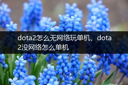 dota2怎么无网络玩单机，dota2没网络怎么单机