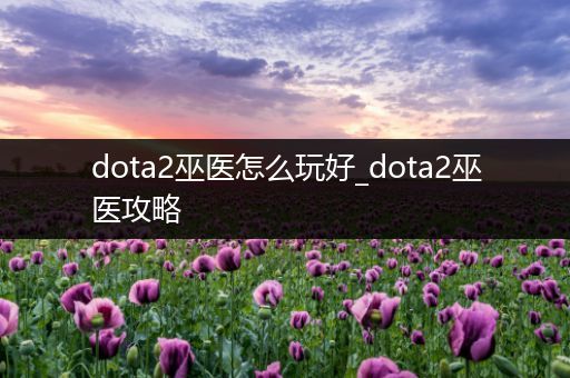 dota2巫医怎么玩好_dota2巫医攻略