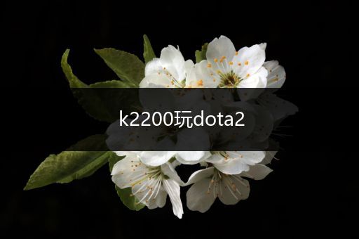 k2200玩dota2