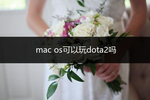 mac os可以玩dota2吗