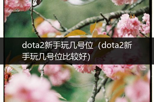 dota2新手玩几号位（dota2新手玩几号位比较好）