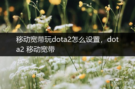 移动宽带玩dota2怎么设置，dota2 移动宽带