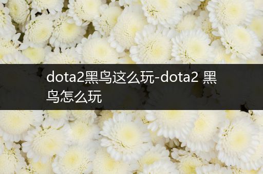 dota2黑鸟这么玩-dota2 黑鸟怎么玩