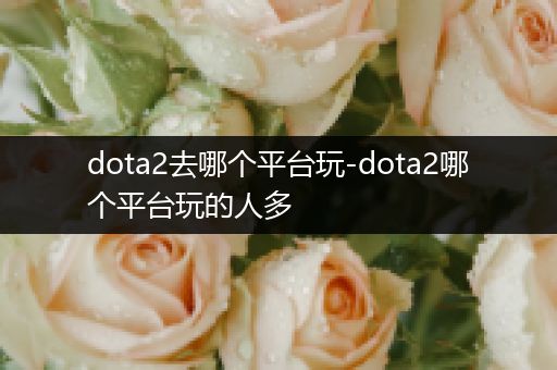 dota2去哪个平台玩-dota2哪个平台玩的人多