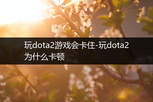 玩dota2游戏会卡住-玩dota2为什么卡顿