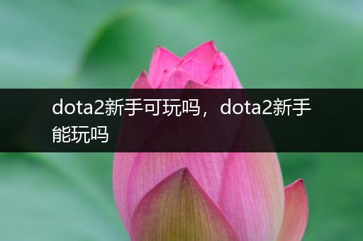 dota2新手可玩吗，dota2新手能玩吗