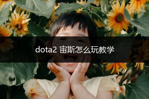 dota2 宙斯怎么玩教学