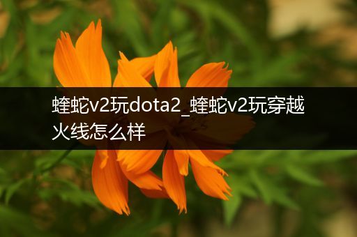 蝰蛇v2玩dota2_蝰蛇v2玩穿越火线怎么样