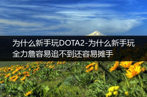 为什么新手玩DOTA2-为什么新手玩全力詹容易追不到还容易摊手