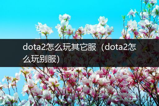 dota2怎么玩其它服（dota2怎么玩别服）