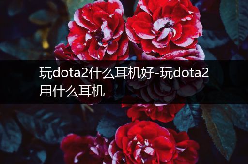 玩dota2什么耳机好-玩dota2用什么耳机