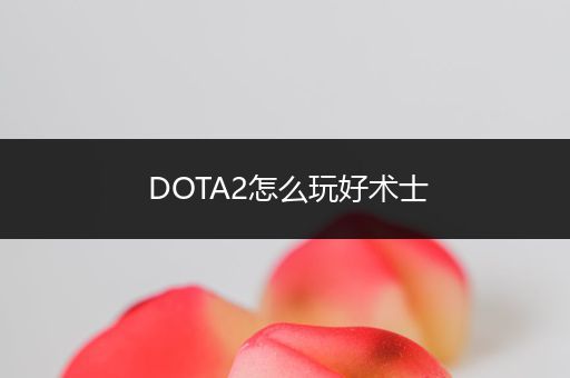 DOTA2怎么玩好术士