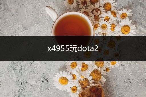 x4955玩dota2