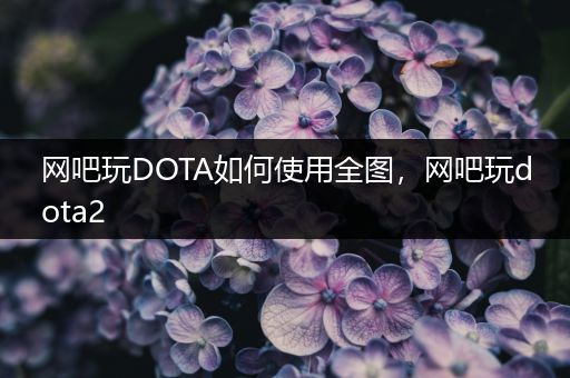 网吧玩DOTA如何使用全图，网吧玩dota2