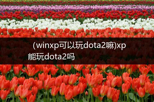 （winxp可以玩dota2嘛)xp能玩dota2吗