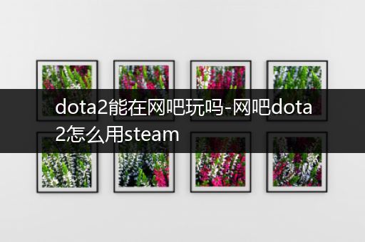 dota2能在网吧玩吗-网吧dota2怎么用steam