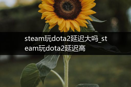 steam玩dota2延迟大吗_steam玩dota2延迟高