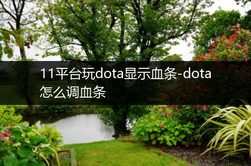 11平台玩dota显示血条-dota怎么调血条