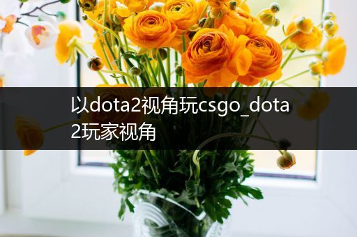 以dota2视角玩csgo_dota2玩家视角