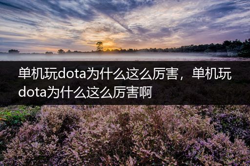 单机玩dota为什么这么厉害，单机玩dota为什么这么厉害啊