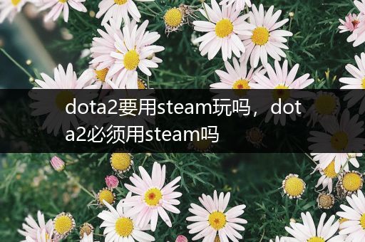 dota2要用steam玩吗，dota2必须用steam吗