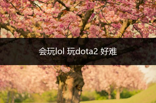 会玩lol 玩dota2 好难