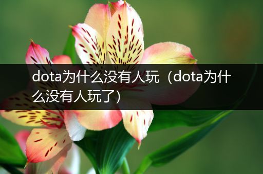 dota为什么没有人玩（dota为什么没有人玩了）