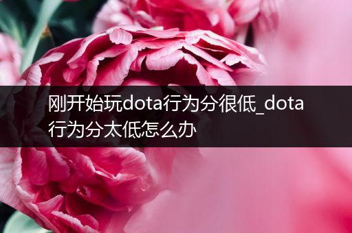 刚开始玩dota行为分很低_dota行为分太低怎么办