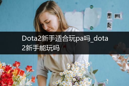 Dota2新手适合玩pa吗_dota2新手能玩吗